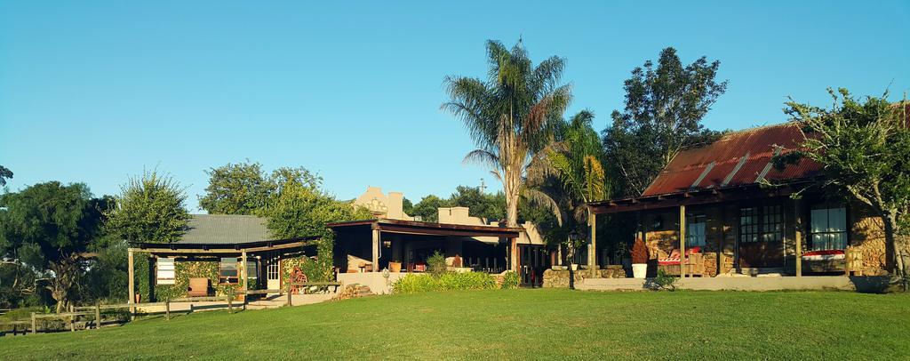 Plettenberg Bay Game Reserve: The Baroness Safari Lodge Eksteriør billede